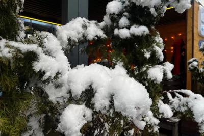 Синоптики рассказали россиянам, какой будет предстоящая зима