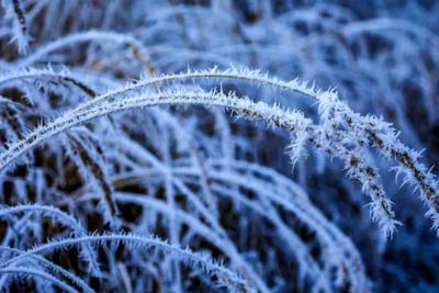 В этот день россиян накроет зимняя вьюга: Вильфанд назвал точную дату прихода аномальной погоды