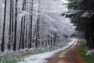 Синоптики раскрыли, чего ждать от погоды: декабрь обещает быть аномальным