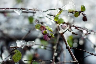 &laquo;Страдать будем все&raquo;: Вильфанд рассказал, когда и почему аномальная жара придет в Россию