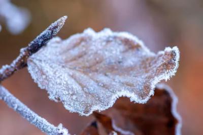 Зима обещает аномальную непредсказуемость: чего ждать в 2026 году