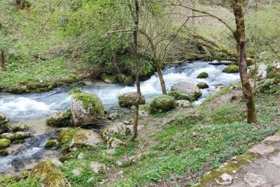 Советский сервис с космическими ценами  - вот за что здесь просят деньги: съездил на 3 дня в Абхазию