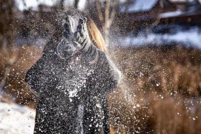 Три подсказки от природы: какой будет зима 2025−2026 года - народные приметы уже предсказывают прогноз