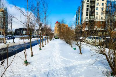 Чего ожидать от погоды в России в ноябре: климатическое безумие