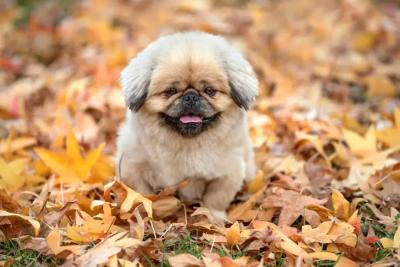 Синоптик Роман Вильфанд шокировал - какая погода ждет нас на уже на этой неделе