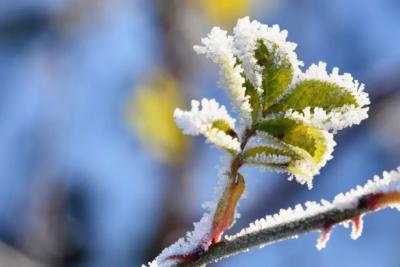 Синоптики раскрыли новые даты наступления зимы: когда в Центральной России начнутся минусовые температуры