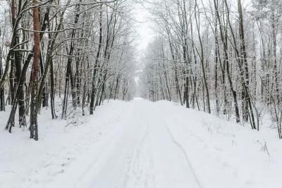 Жуткие морозы до 30-40 градусов накроют три региона России в ближайшее время  - Вильфанд