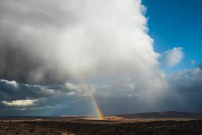 Три подсказки от природы: какой станет зима 2025&minus;2026 года - предсказывают народные приметы
