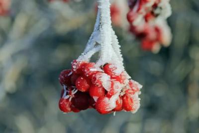 Россию ждет непредсказуемая зима: синоптики предупреждают о крупных скачках температуры - прогноз