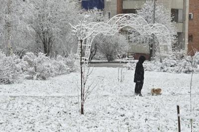 Эта зима всё перевернёт вверх дном: синоптики предупредили о неожиданных аномальных погодных качелях