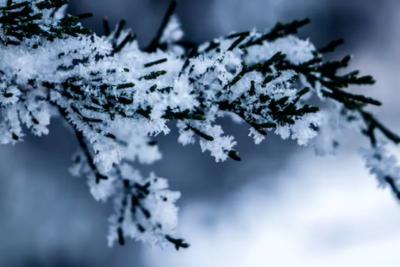 Зима обрушится безжалостно и резко: Вильфанд пояснил, когда закончится теплый период предзимья