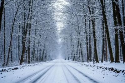 Аномальные морозы до 30-40 градусов нагрянут на три региона России - Вильфанд