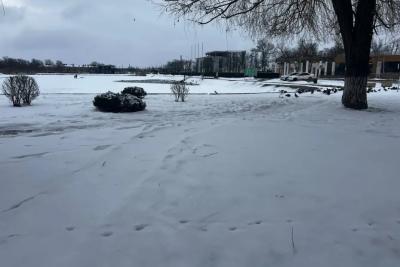 Роман Вильфанд раскрыл истинную причину, по которой зима в этом году не наступит: это не просто оттепель