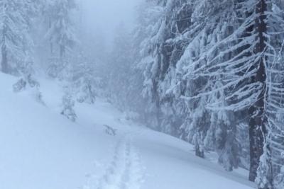 Синоптики дали точный ответ про наступление настоящей зимы в Центральной России - новейший прогноз на конец года