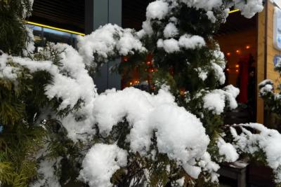 «Настоящая зима придёт в Россию: дата и первые морозы уже известны»