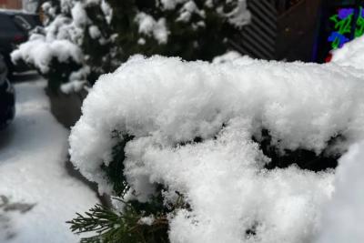 Синоптик Вильфанд рассказал россиянам, когда придет настоящая зима