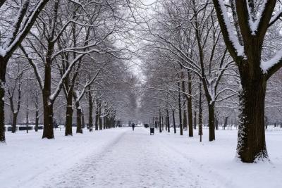 Зима отменяется: готовься к теплой погоде и дождям этой зимой