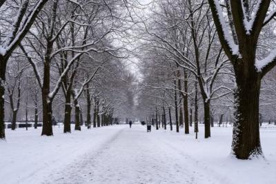 Эксперт назвал точную дату прихода снежной зимы: шокирующий прогноз