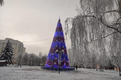 Будет ли снег в новогодние праздники? Предварительный прогноз синоптиков