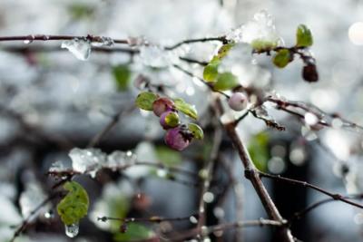 «Поступили новые данные»: Синоптики резко изменили свое мнение по прогнозу на ноябрь