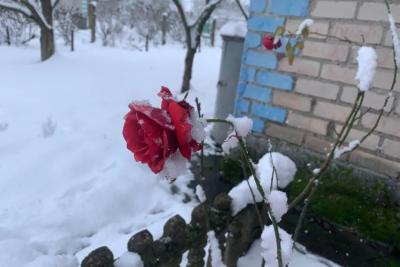 Вильфанд предупредил россиян о прогнозе: январские морозы обрушатся на Россию уже в декабре