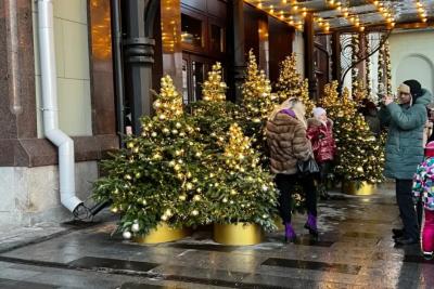 Новогодние каникулы 2025-2026 станут короче: выходные меняются из-за обстановки в стране