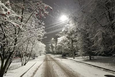 Синоптики обновили прогноз: чего ждать от зимы 2025-2026 - будет ли снег, морозы и когда наступит настоящая зима