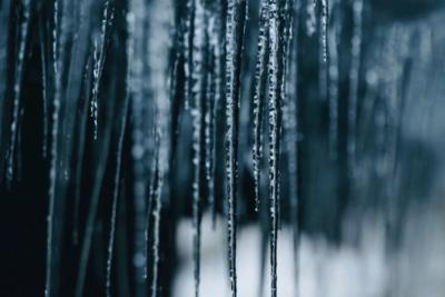 Снега не будет совсем: Вильфанд расстроил прогнозом на декабрь жителей Центральной России