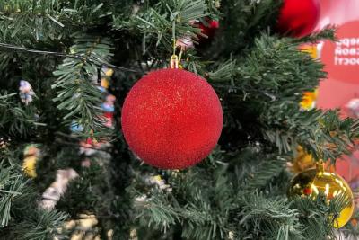 Каникулы перенесли из-за обстановке в стране: новогодние выходные 2025-2026 изменяется и не будут, как раньше