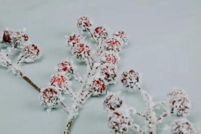 Будет самая холодная зима за 250 лет: синоптики предупредили о морозах до -40 и бурях