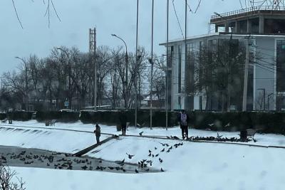 Где ожидаются самые сильные морозы - Роман Вильфанд: 23 декабря Россию накроет волна арктического холода