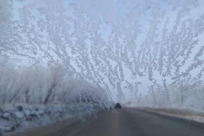 Зима обрушится резко и без жалости: Вильфанд объяснил, когда закончится тёплый период