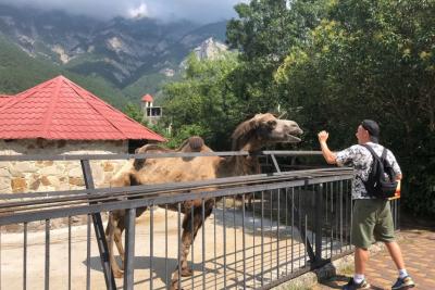 6 городов мира с идеальным климатом - круглый год 23: вот куда россияне сбегают от зимы и слякоти