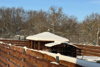 Нашел скрытую деревню миллионеров: как живут люди в 8 км от Кремля, где дома стоят от 160 млн