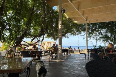 Что русским туристам нельзя делать в Абхазии, чтобы не разозлить местных: 5 правил в Стране Души