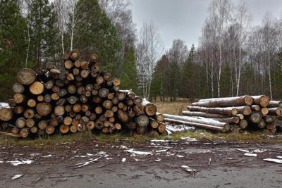 &laquo;Вы продаете газ всему миру, а сами мерзнете&raquo;: немец увидел российскую деревню и потерял дар речи