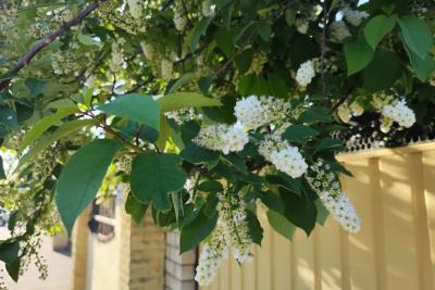 Такого мая не было 40 лет: Вильфанд рассказал о погодном сюрпризе