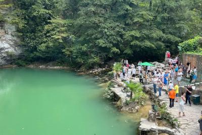 Абхазский пенсионер откровенно рассказал, как абхазы на самом деле встречают русских - правда из первых уст