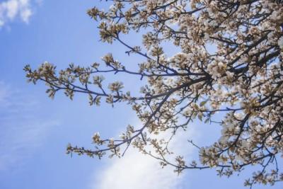 Погода в мае удивит: синоптики резко изменили прогноз - чего ждать по всей России