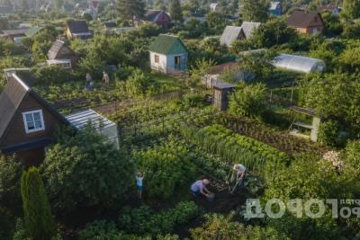 Иностранец впервые попал на обычную дачу: что в наших привычных шести сотках кажется ему полным абсурдом