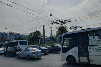 Где в России самые опасные и активные клещи: полный гайд для туристов