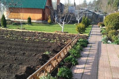 Хотели тишины и природы, но через год сбежали: почему в деревне остаться сложнее, чем кажется