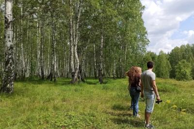 Две капли на носки - и клещи не страшны: мощная защита для дачников