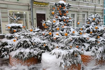 Готовимся к аномальной зиме: от суровых морозов до слякоти и тепла - новый прогноз с декабря по февраль от синоптиков