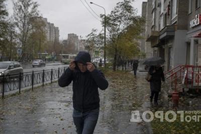 Холод застанет врасплох: первые заморозки придут раньше срока - сентябрь не пощадит