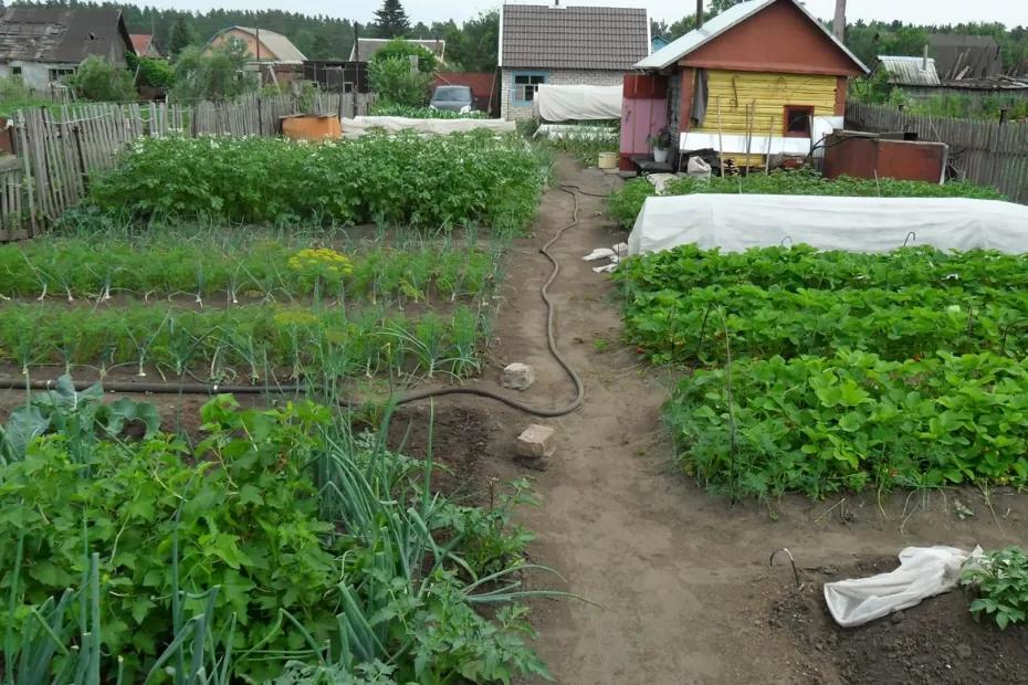 Полный и строгий запрет с июня: неприятный сюрприз застанет врасплох огородников и садоводов