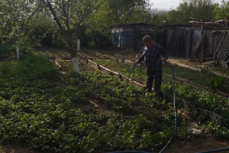 Вот и всё: дачников и огородников будут штрафовать за использование воды