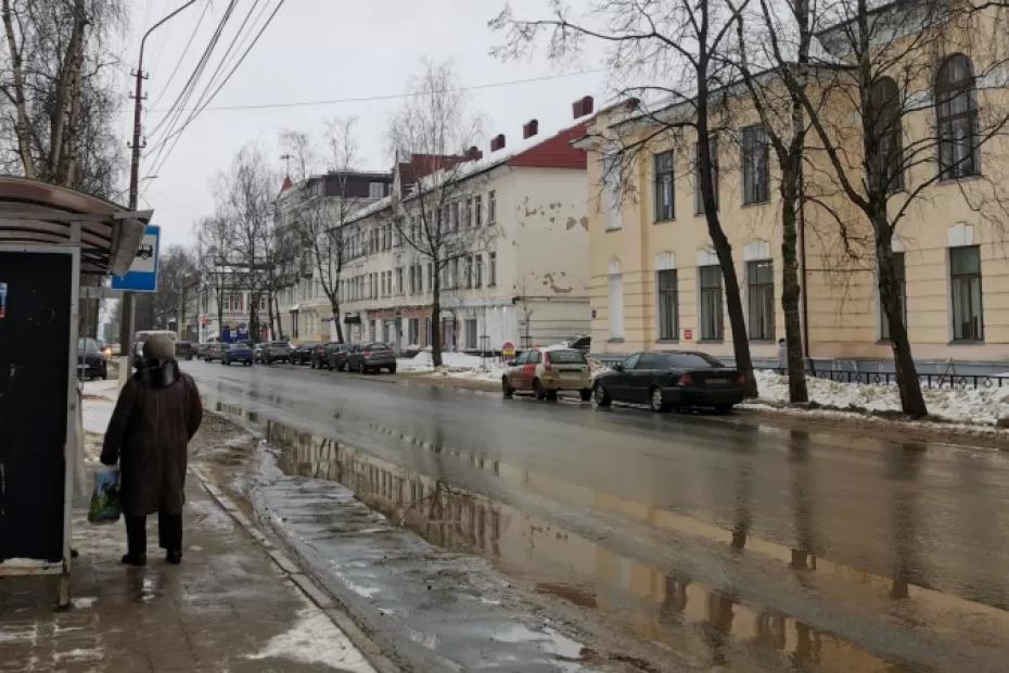 Зимы не будет: Роман Вильфанд поделился точным прогнозом, будет ли снег на Новый год