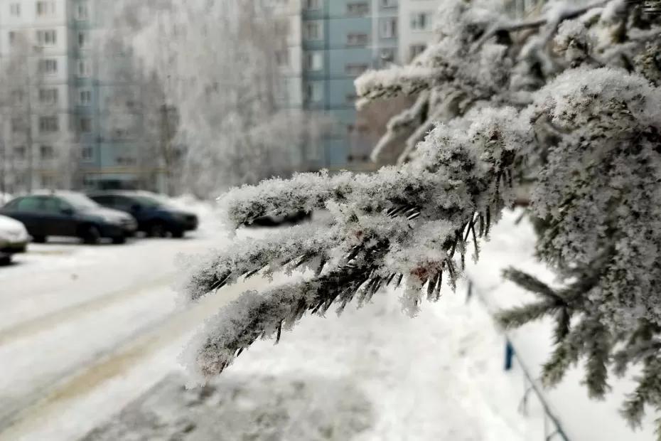 «Снега не ждите - будет другое»: Роман Вильфанд ошарашил россиян прогнозом на Новый год по каждому региону