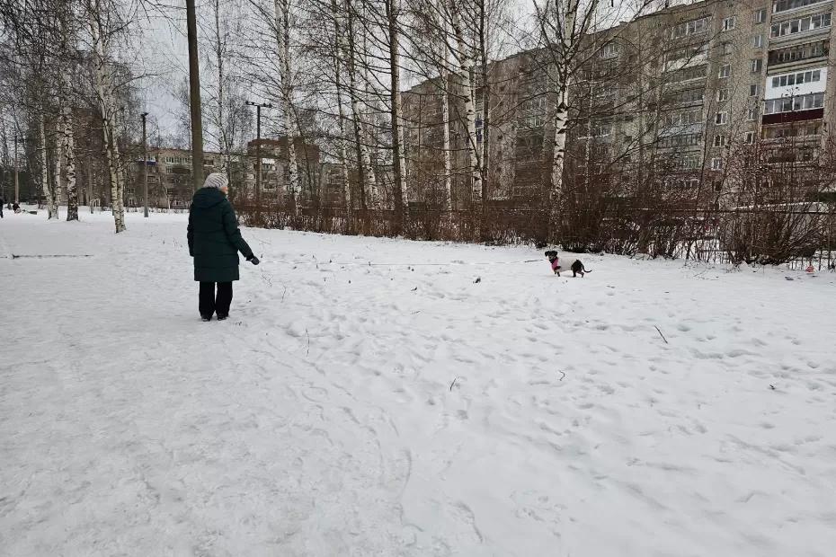 Сюрприз для всех пенсионеров к Новому году от Голиковой - указ о новых пенсиях раскрыли